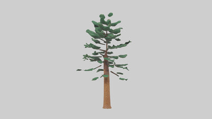 Shortleaf Pine tree model 3D model