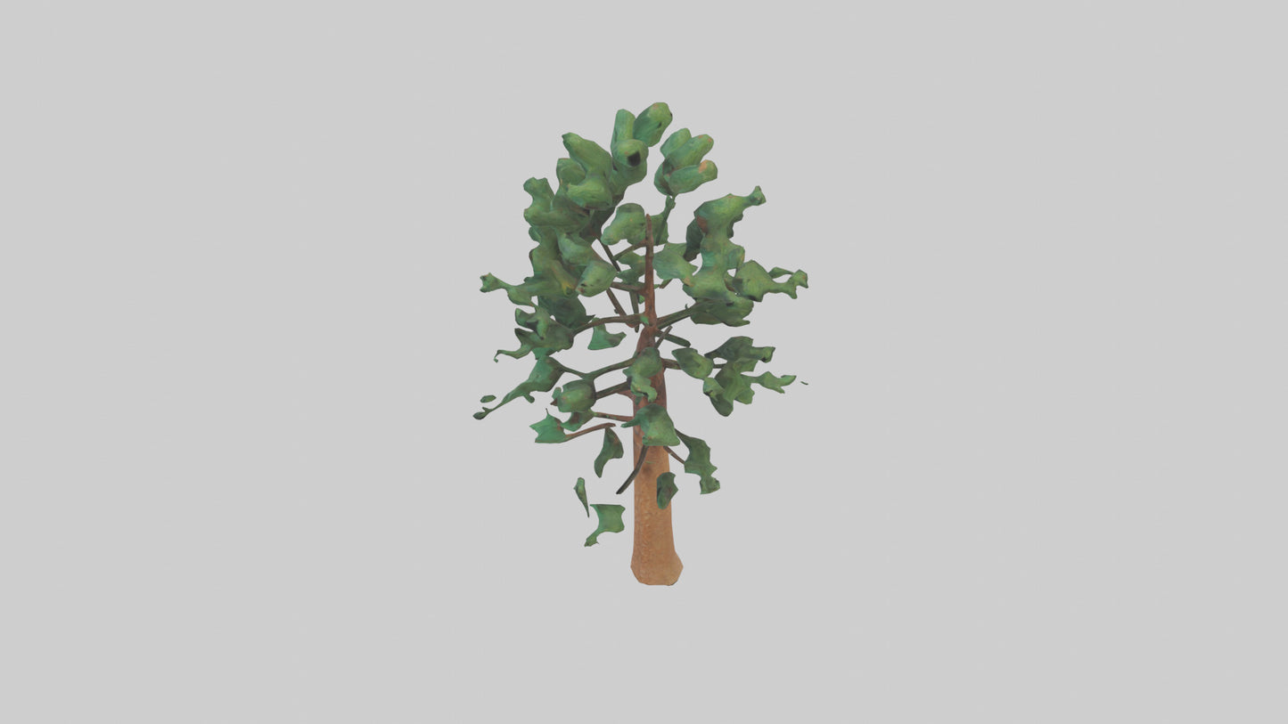 Shortleaf Pine tree model 3D model
