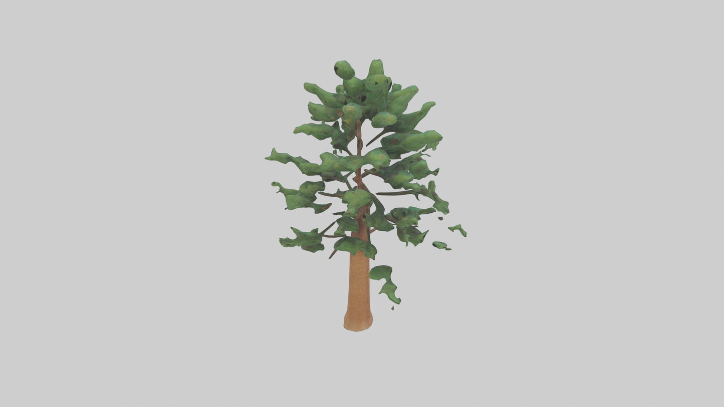 Shortleaf Pine tree model 3D model