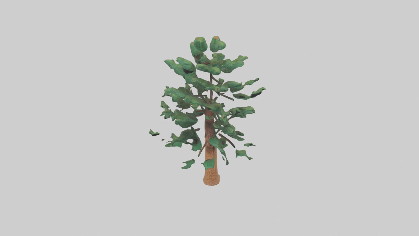 Shortleaf Pine tree model 3D model