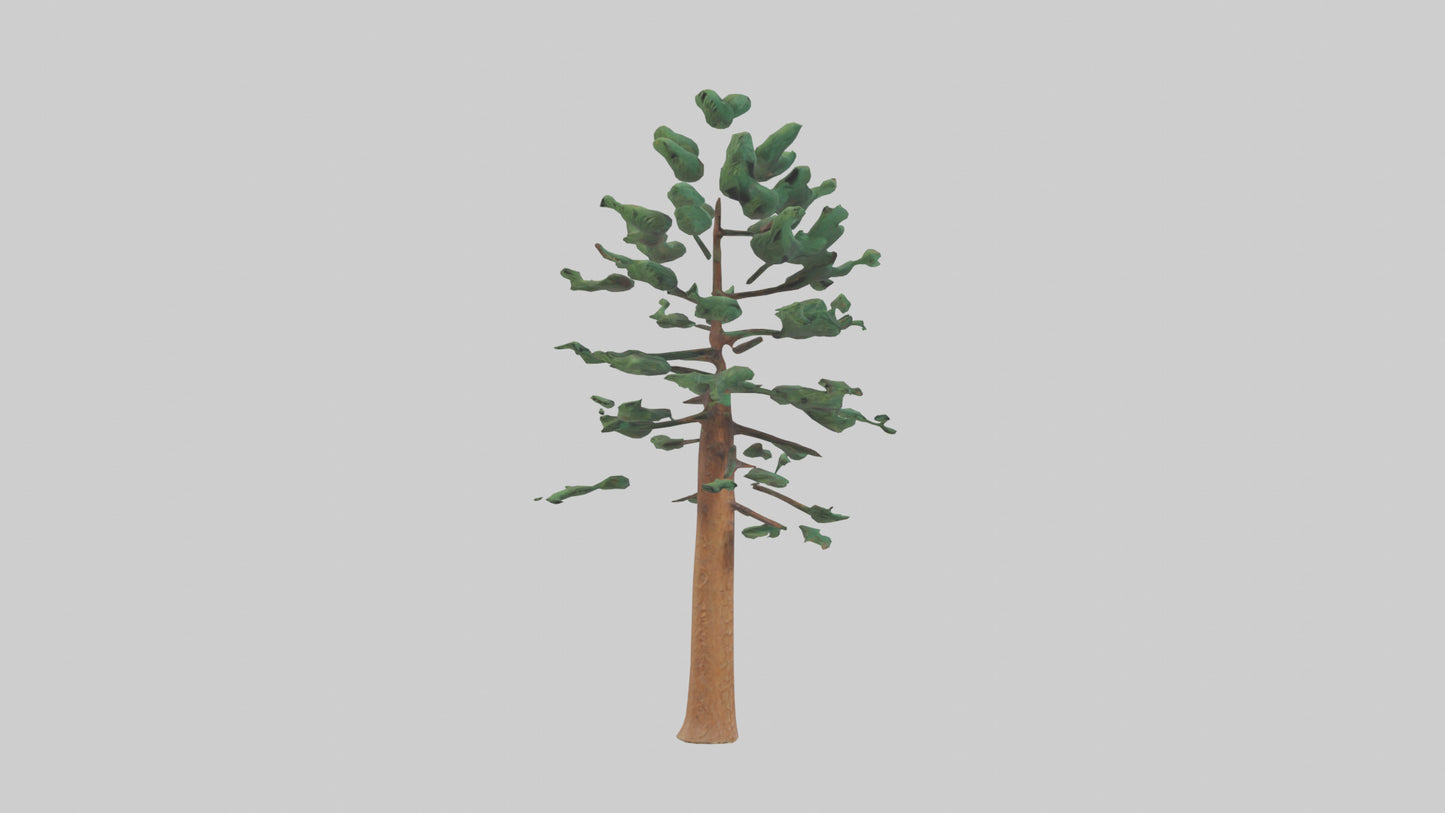 Shortleaf Pine tree model 3D model