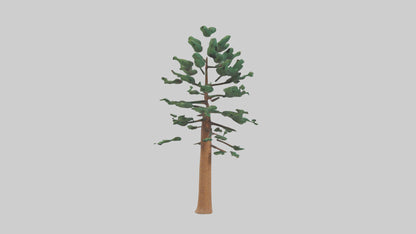 Shortleaf Pine tree model 3D model