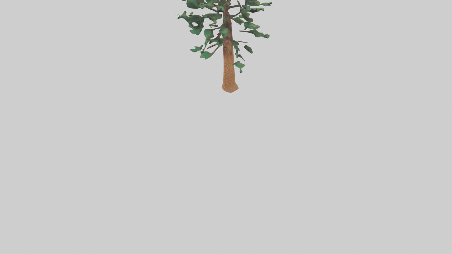 Shortleaf Pine tree model 3D model