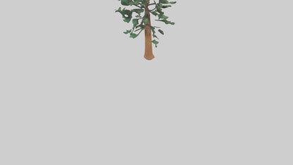 Shortleaf Pine tree model 3D model
