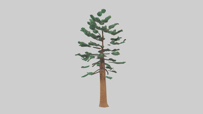Shortleaf Pine tree model 3D model