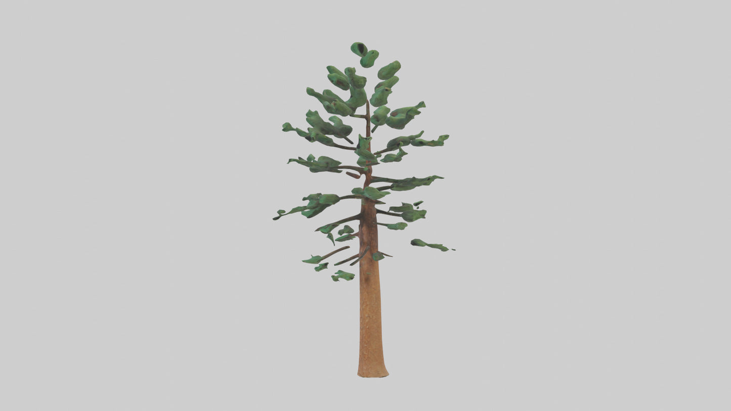 Shortleaf Pine tree model 3D model
