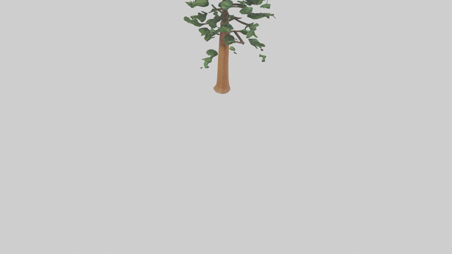 Shortleaf Pine tree model 3D model