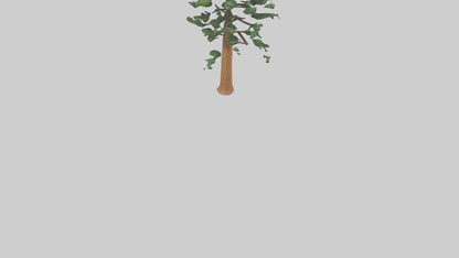 Shortleaf Pine tree model 3D model
