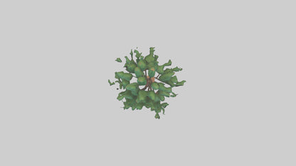 Shortleaf Pine tree model 3D model