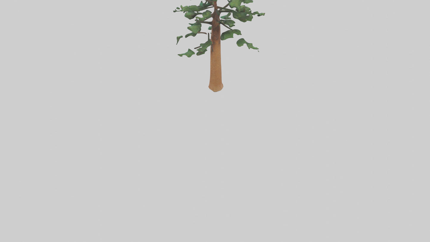 Shortleaf Pine tree model 3D model