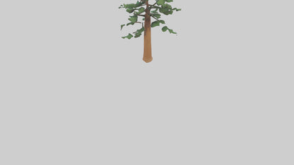 Shortleaf Pine tree model 3D model