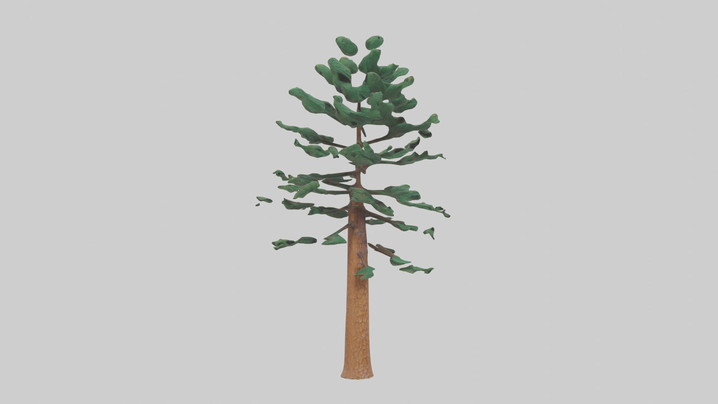Shortleaf Pine tree model 3D model