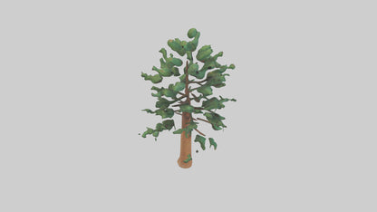 Shortleaf Pine tree model 3D model