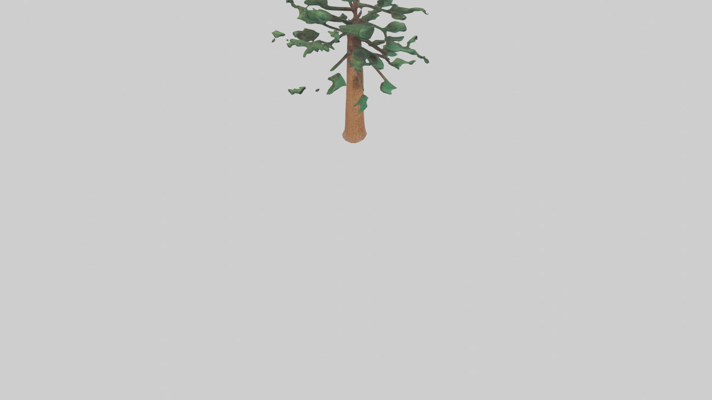 Shortleaf Pine tree model 3D model