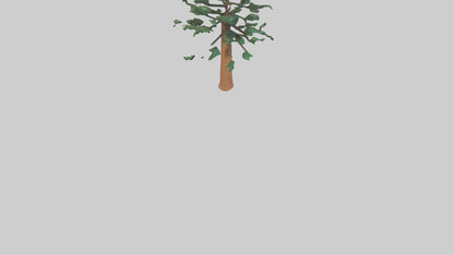 Shortleaf Pine tree model 3D model