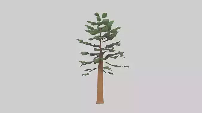Shortleaf Pine tree model 3D model