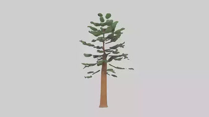Shortleaf Pine tree model 3D model