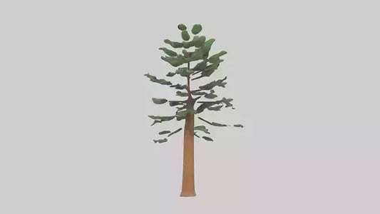 Shortleaf Pine tree model 3D model