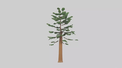 Shortleaf Pine tree model 3D model