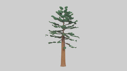 Shortleaf Pine tree model 3D model