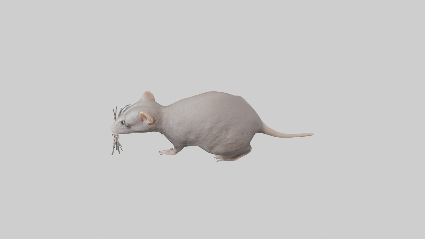 Shower head model 3D model