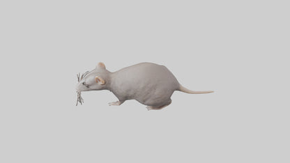 Shower head model 3D model