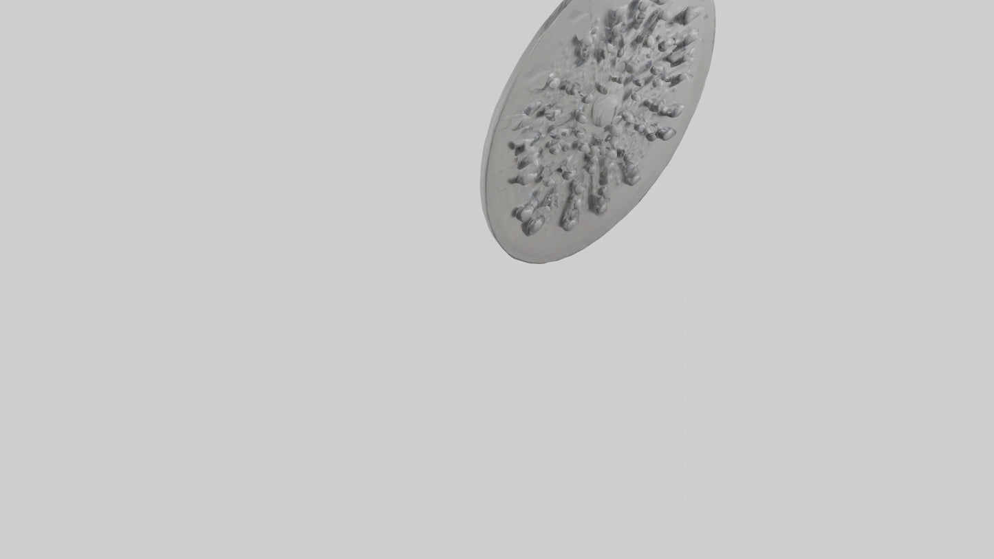 Shower head model 3D model