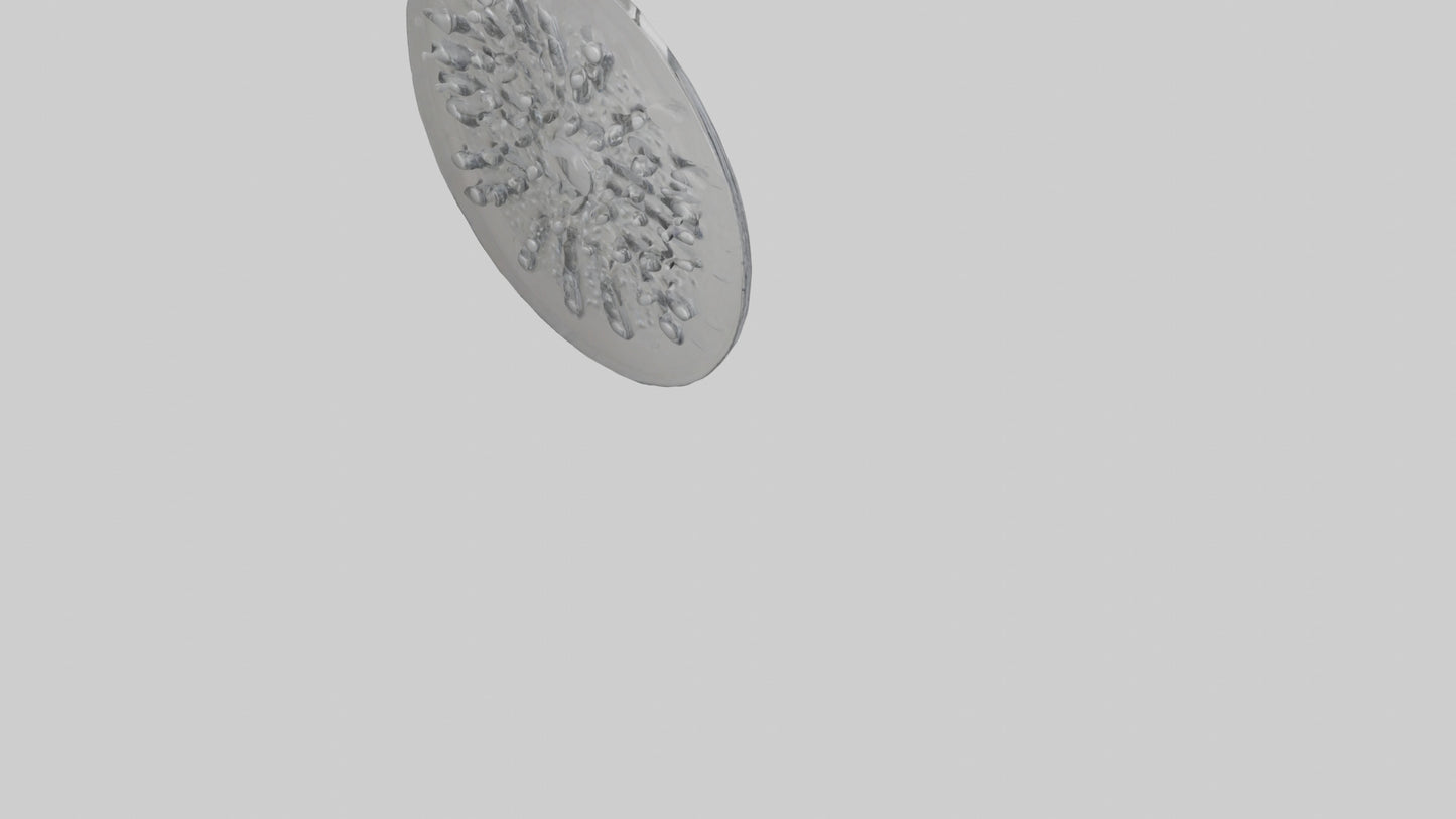 Shower head model 3D model