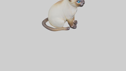 Siamese Cat statue model 3D model