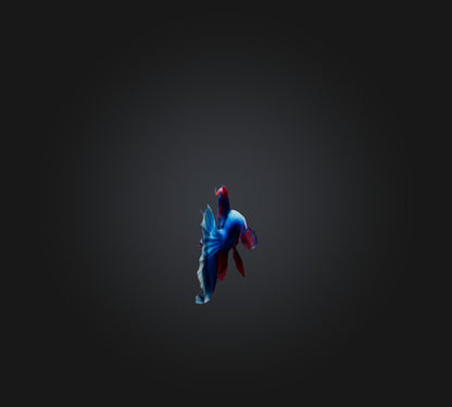 3D model Siamese fighting fish VR / AR / low-poly