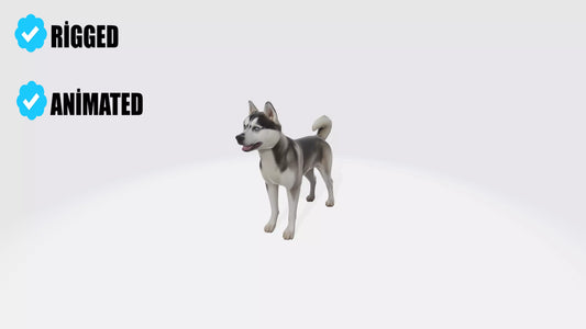 Siberian Husky Dog Model Animated and Rigged 3D model animated rigged