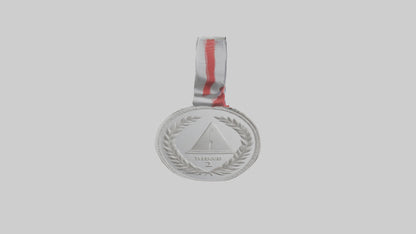 Silver Medal for Achievement model 3D model
