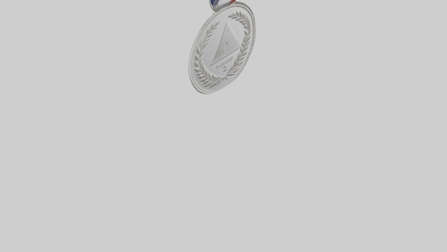 Silver Medal for Achievement model 3D model