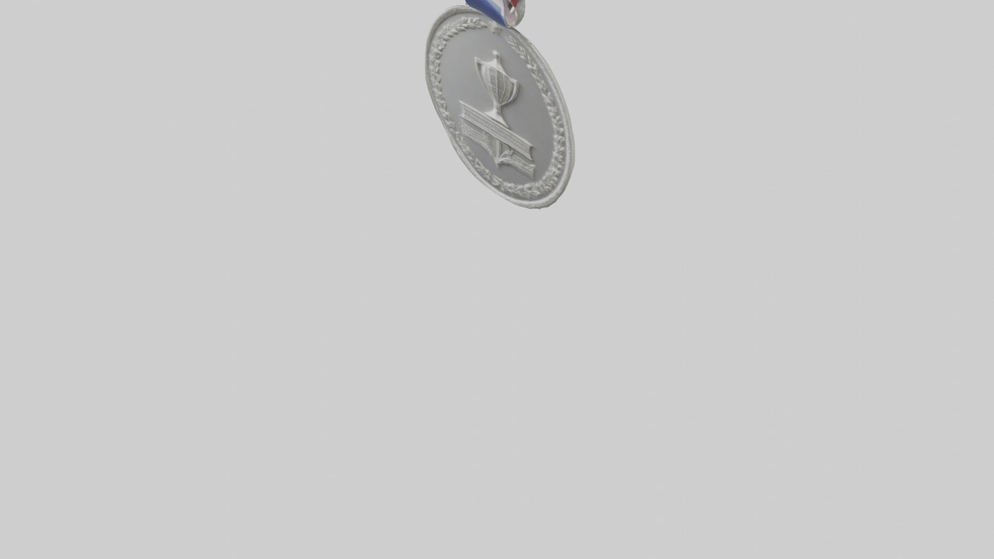 Silver Medal for Achievement model 3D model