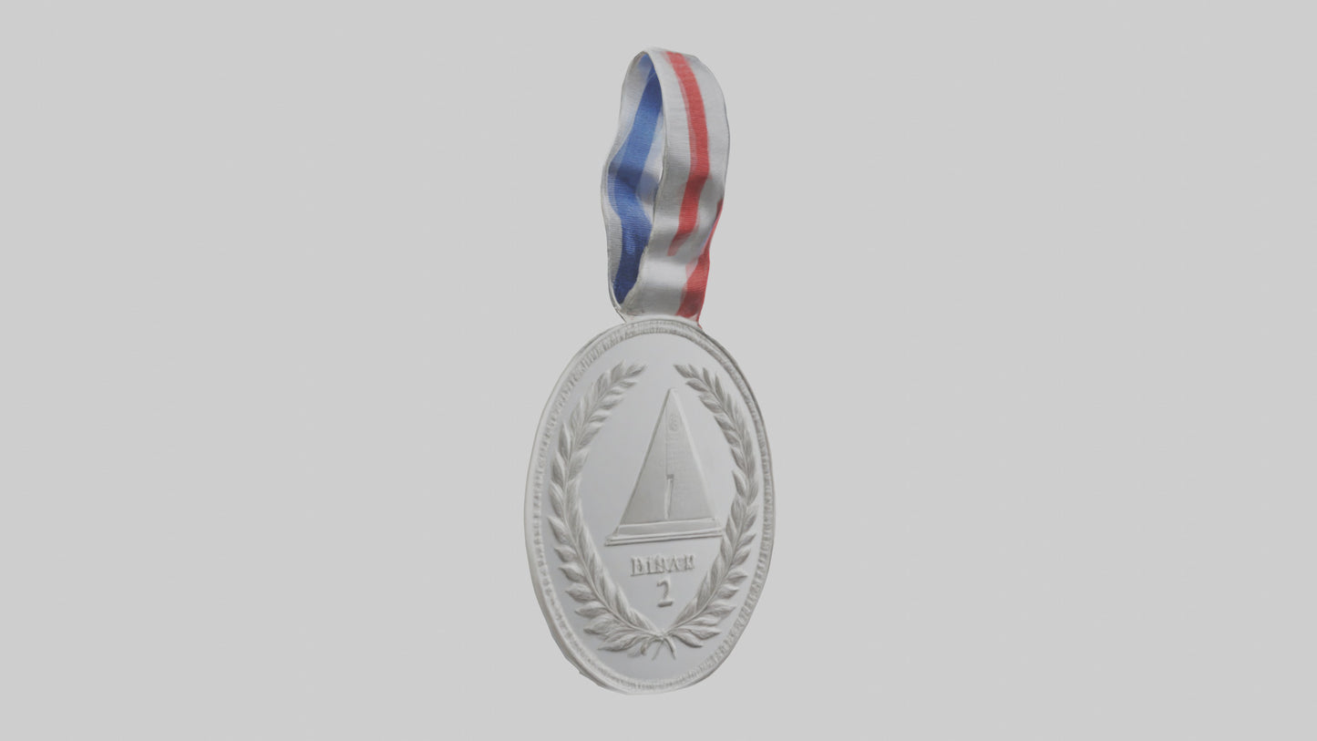 Silver Medal for Achievement model 3D model