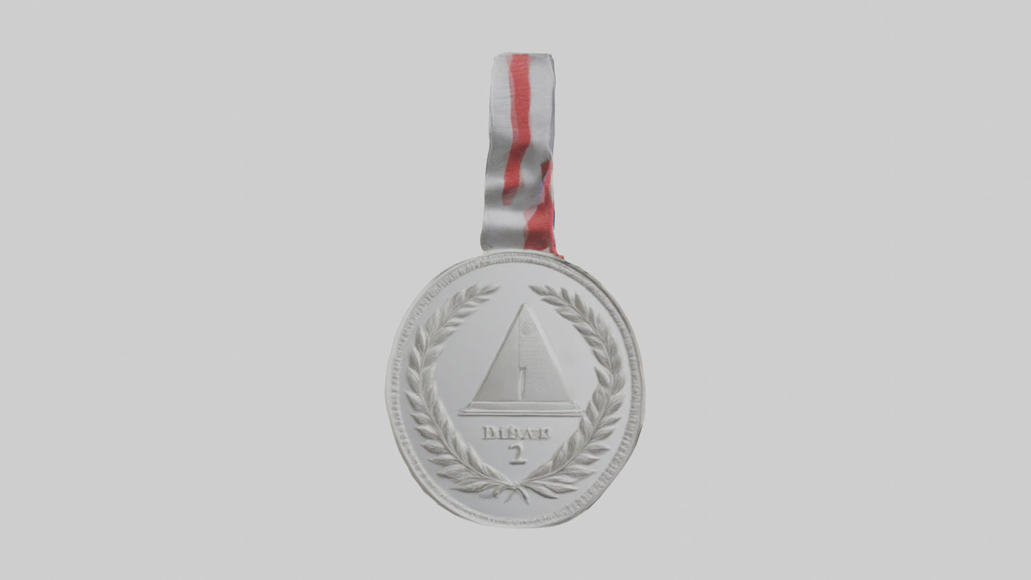 Silver Medal for Achievement model 3D model