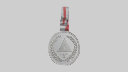 Silver Medal for Achievement model 3D model