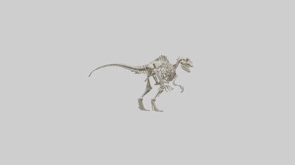 Sinraptor Skeleton model 3D model