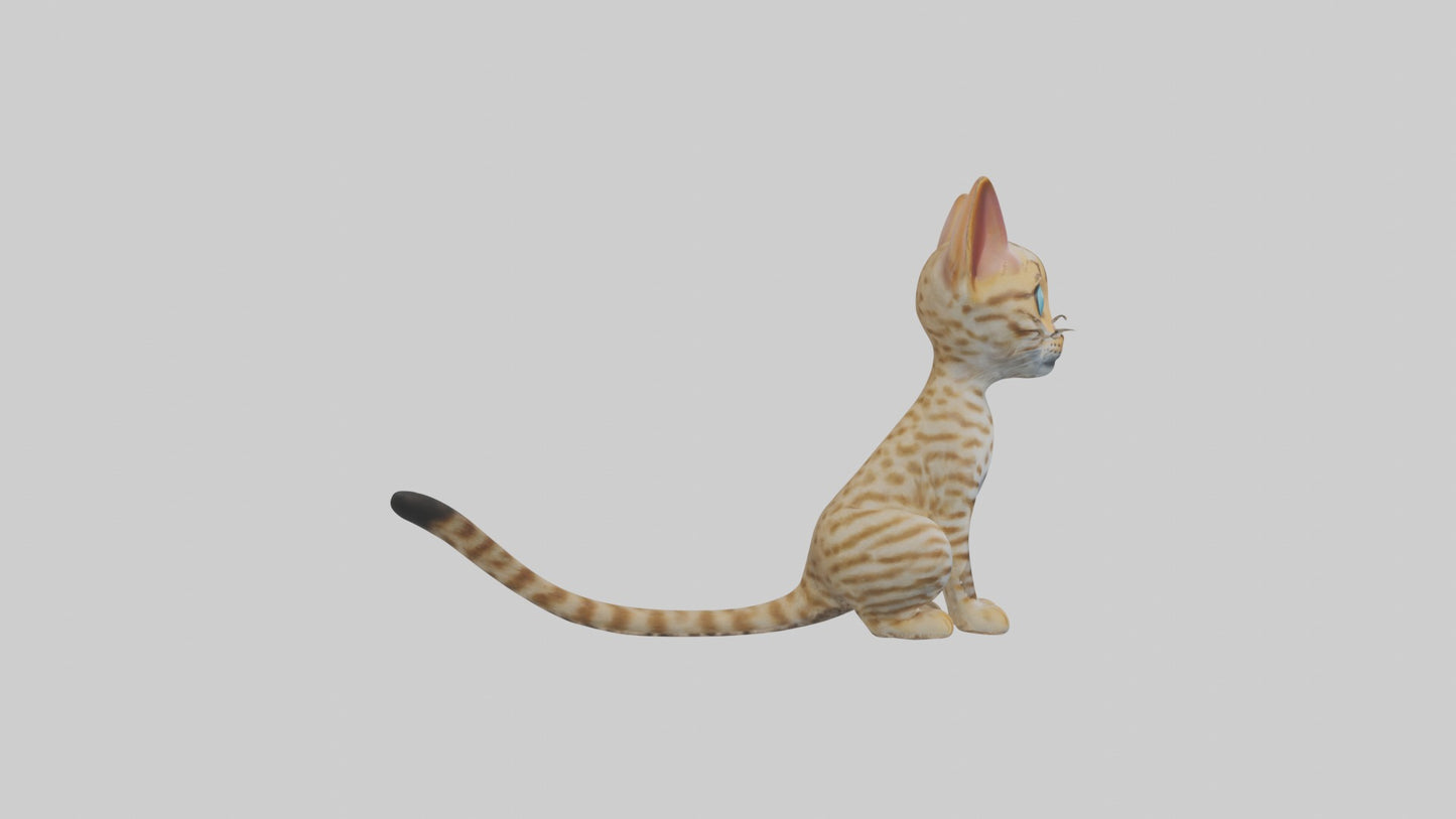 3D model Sitting Ocicat Cat model VR / AR / low-poly