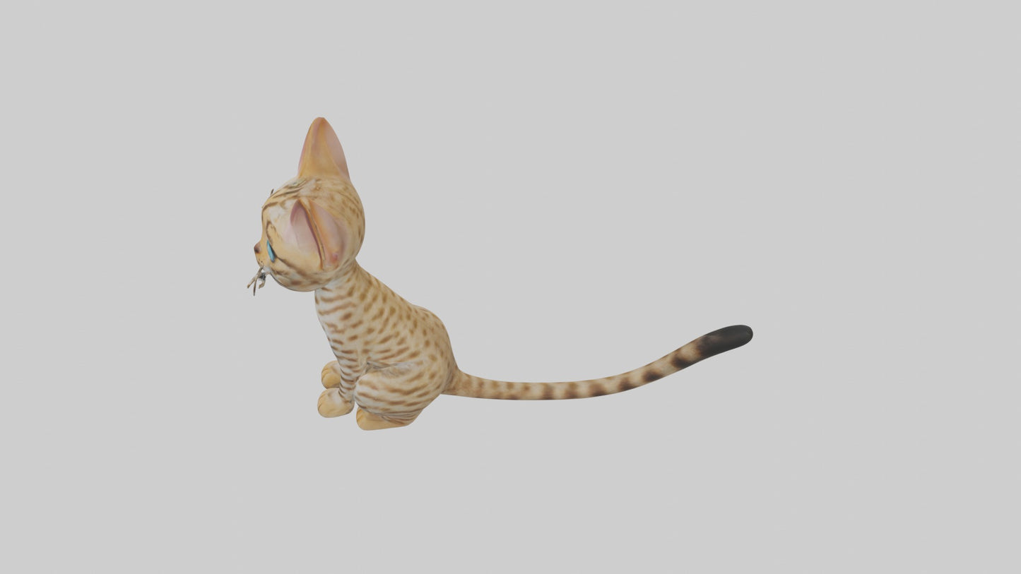 3D model Sitting Ocicat Cat model VR / AR / low-poly