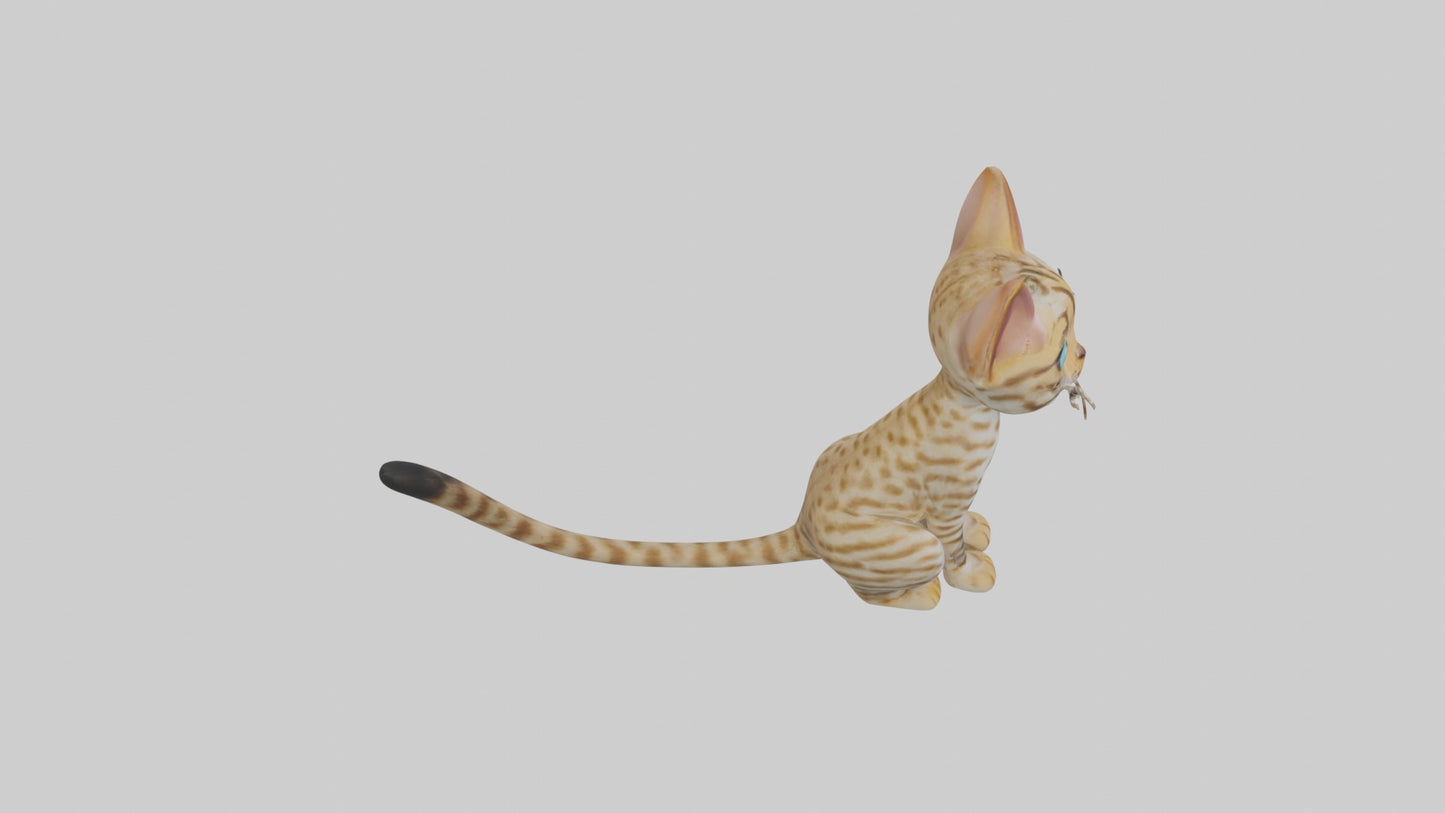 3D model Sitting Ocicat Cat model VR / AR / low-poly