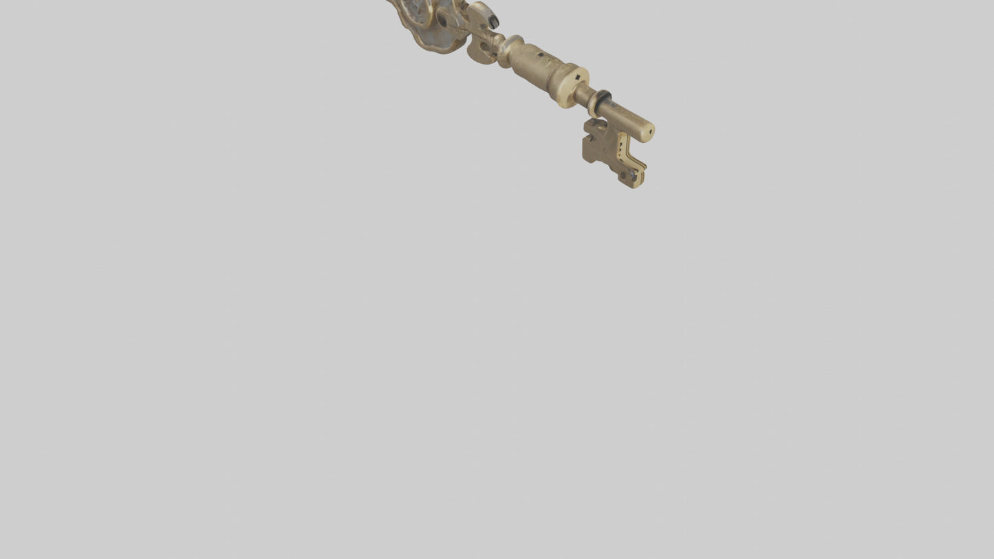 Skeleton Key model 3D model