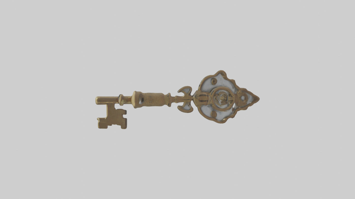 Skeleton Key model 3D model