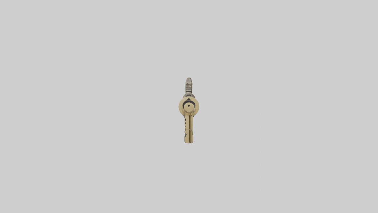 Skeleton Key model 3D model