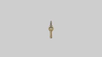 Skeleton Key model 3D model