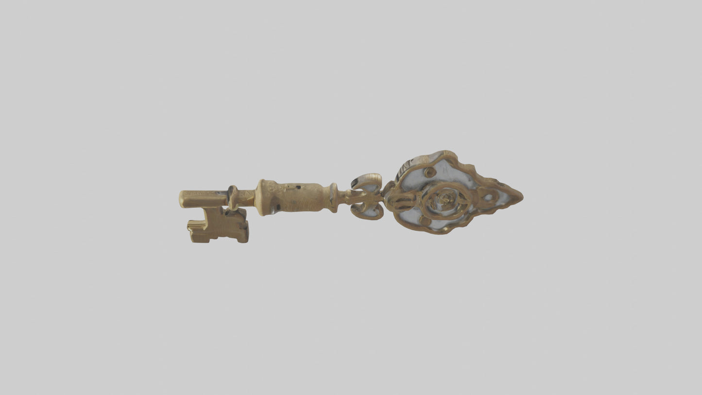 Skeleton Key model 3D model