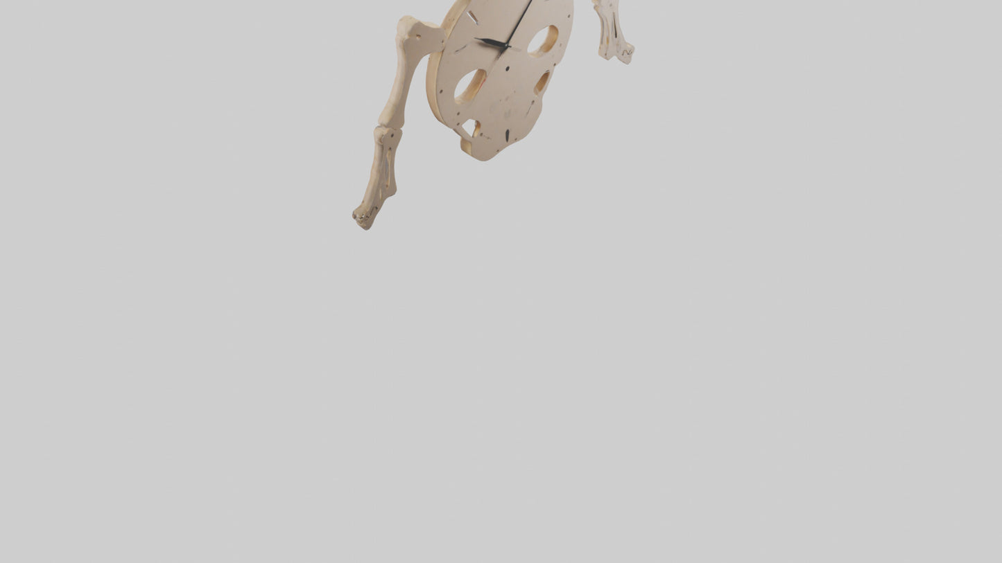Skeleton Wall Clock model 3D model