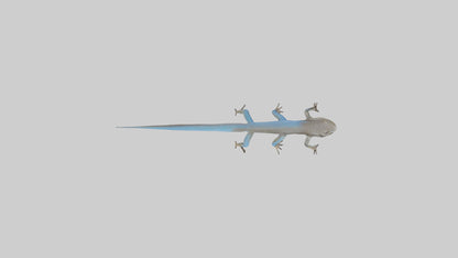 Skink darting model 3D model