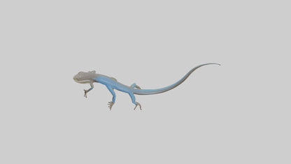 Skink darting model 3D model