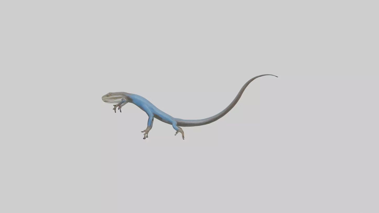 Skink darting model 3D model